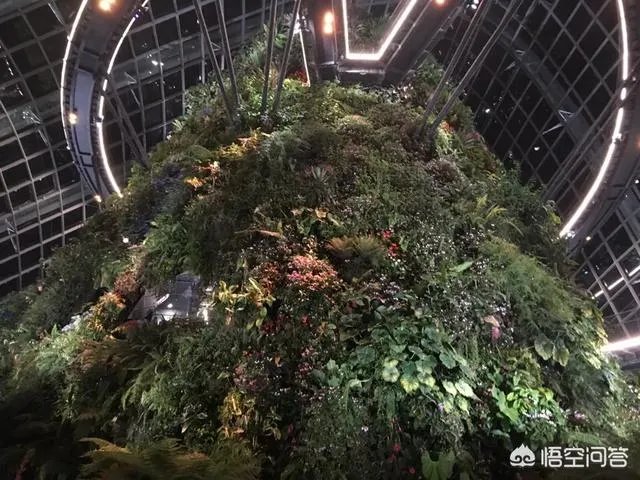 去新加坡旅游，一定不能错过的旅游景点有哪些？