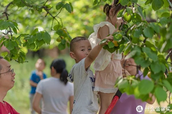 记一次黄河丹峡游记
