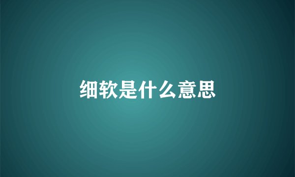 细软是什么意思
