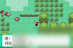 口袋妖怪漆黑的魅影4.5完美版攻略大全（全）