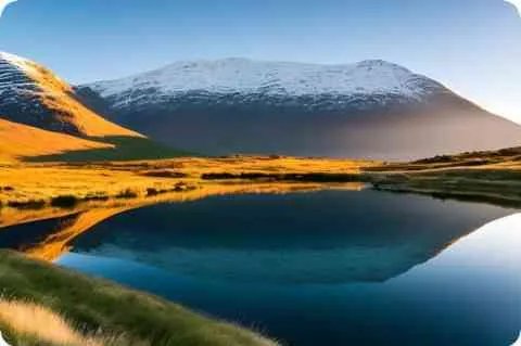 俱乐部的意思是什么