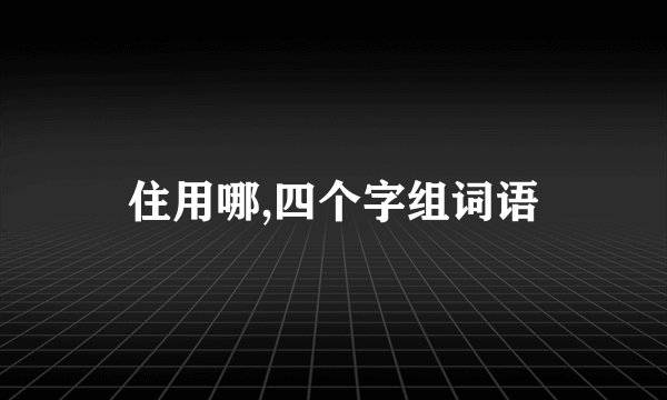 住用哪,四个字组词语