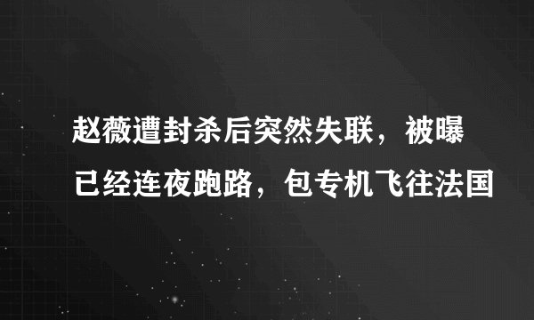 赵薇遭封杀后突然失联，被曝已经连夜跑路，包专机飞往法国