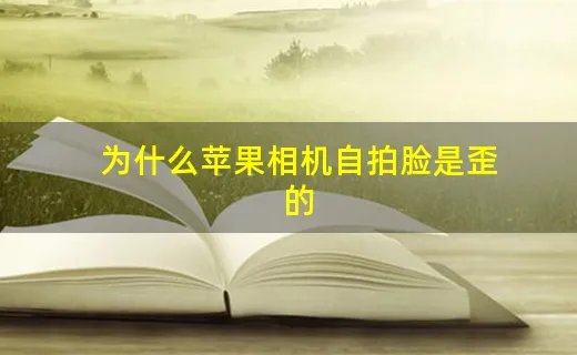 为什么苹果相机自拍脸是歪的
