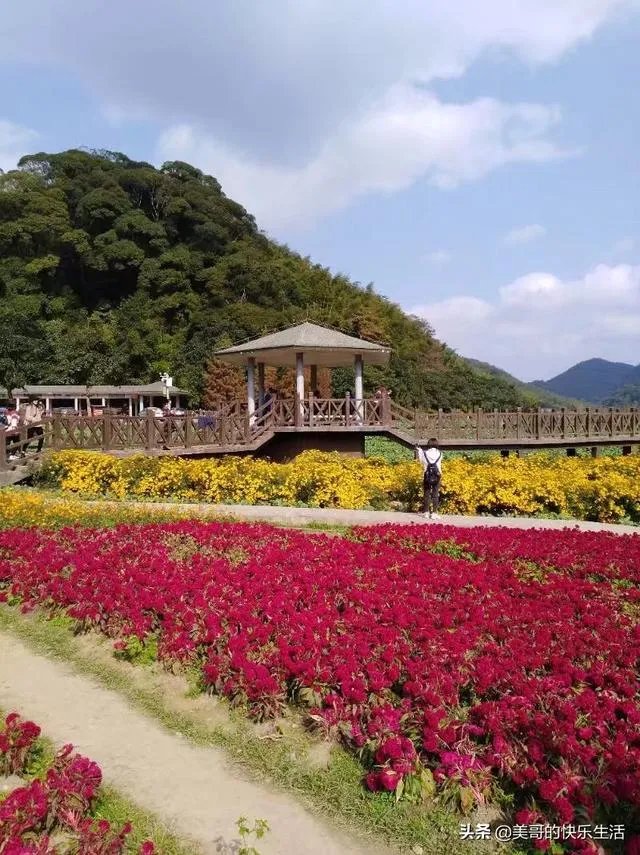 五一从化一日游去哪合适？