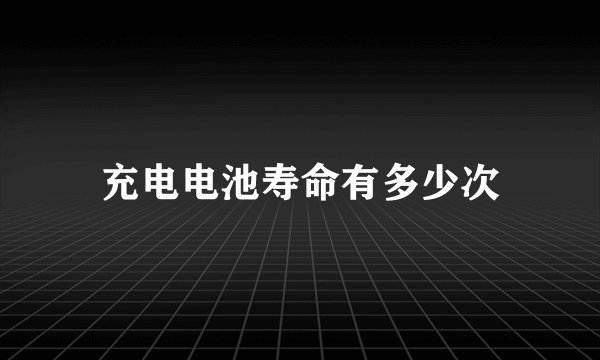 充电电池寿命有多少次