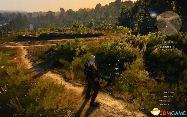 巫师3：狂猎乌鸦水晶头骨在哪里