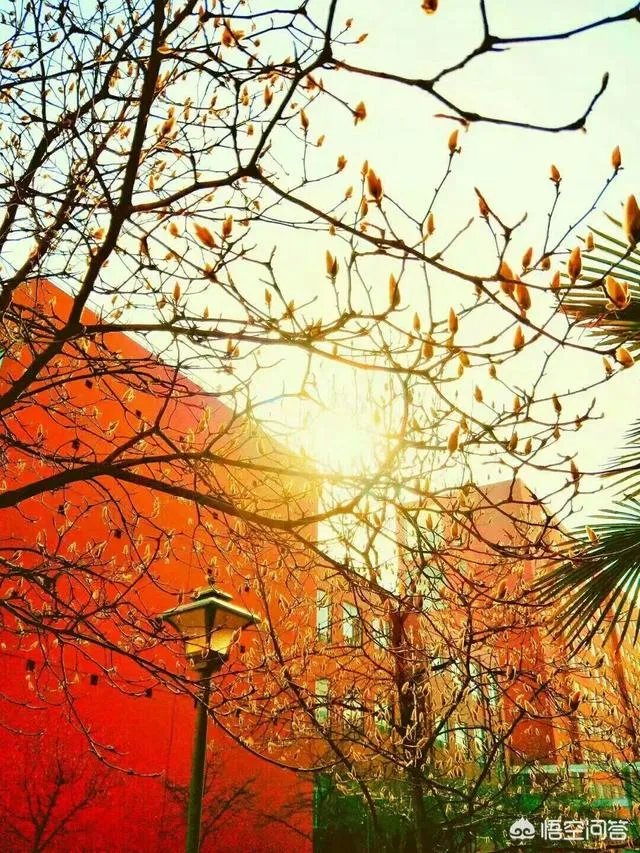 曲阜师范大学是一所什么样的大学？