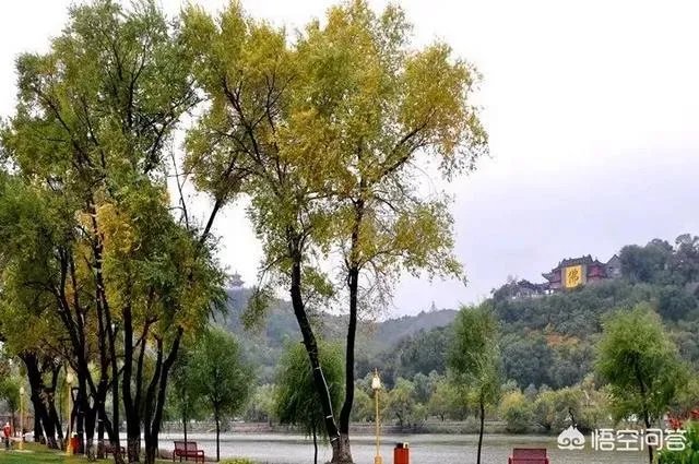 小白怎么学习摄影？