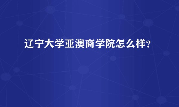 辽宁大学亚澳商学院怎么样？