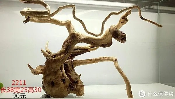 造景 篇一：小白也能玩草缸—聊一聊我的水草缸造景历程