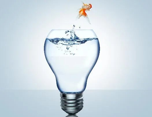 金鱼只有7秒记忆的含义 金鱼的记忆只有七秒是真的吗