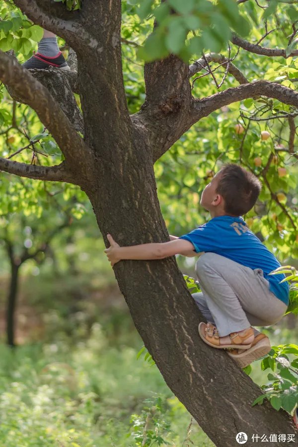 记一次黄河丹峡游记