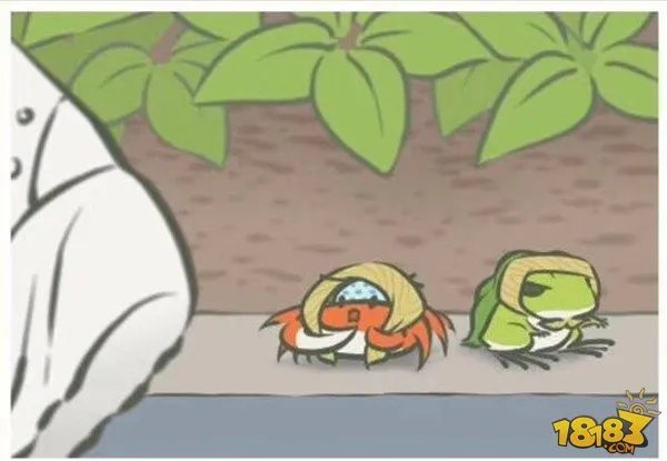 旅行青蛙写真大全 旅行照片寄语全收录