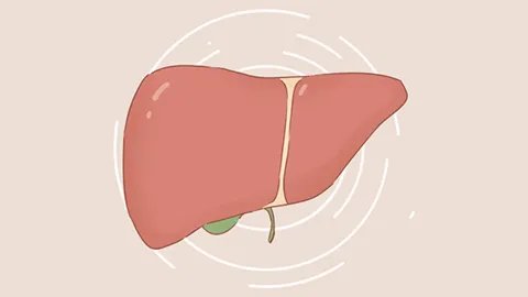 肝脏不好吃什么