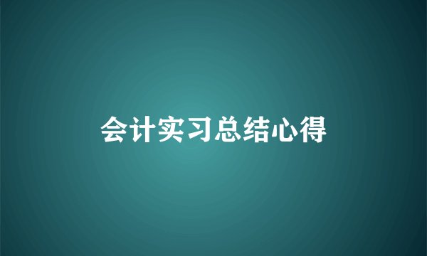 会计实习总结心得