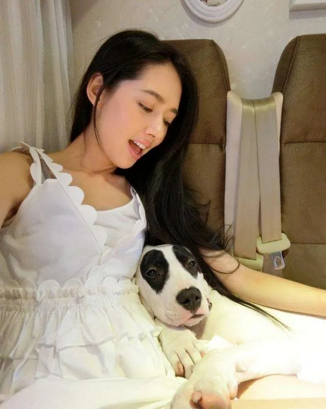 向太对郭碧婷已生女的谣言都表达了什么？