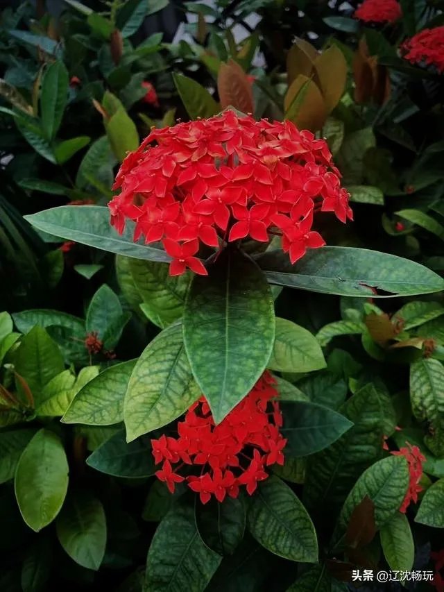 沈阳世博园怎么样?