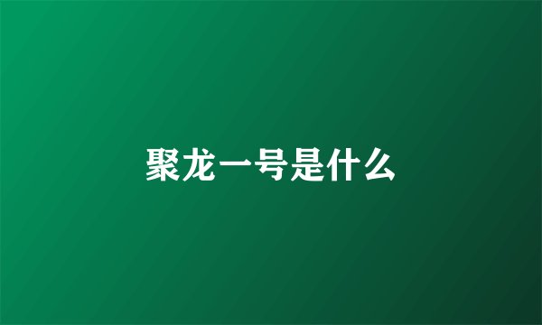 聚龙一号是什么
