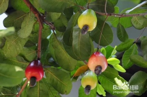 普吉岛在哪里_普吉岛在哪个国家