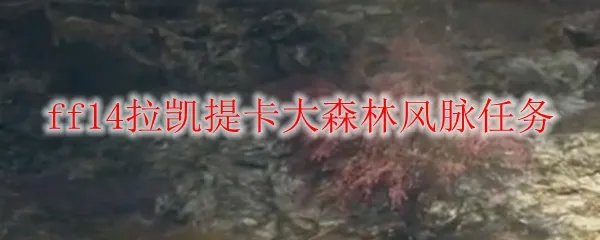 ff14拉凯提卡大森林风脉任务