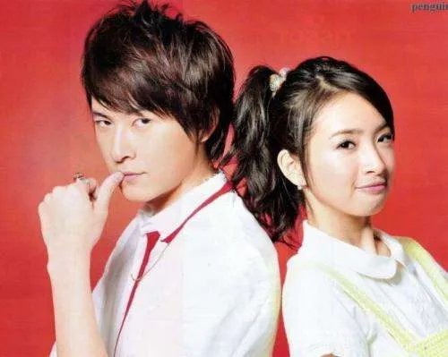 郑元畅出演过的电视剧有哪些？