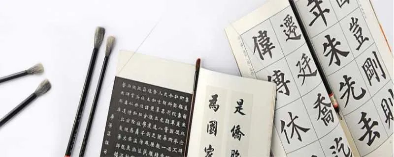 书到用时方恨少事非经过不知难的意思