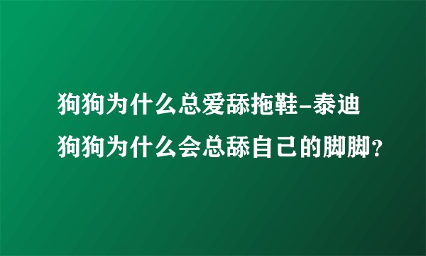 狗狗为什么总爱舔拖鞋-泰迪狗狗为什么会总舔自己的脚脚？