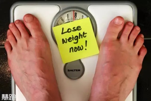 左旋肉碱能减肥?别太天真了