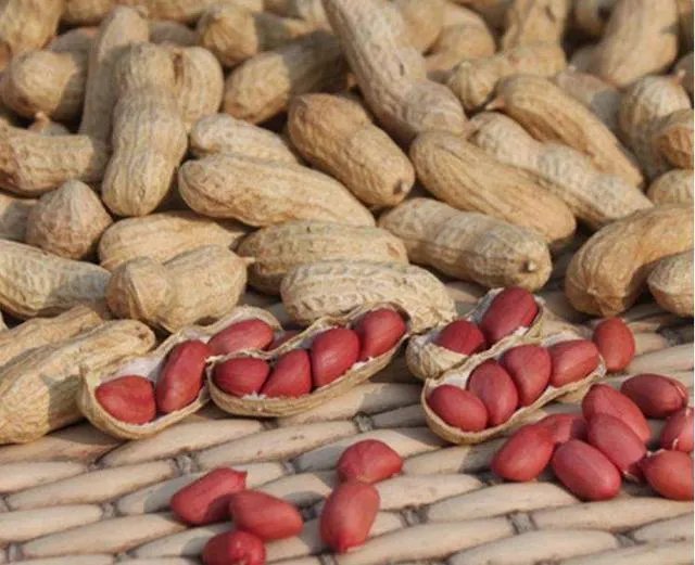 松原有哪些特产？