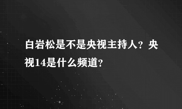 白岩松是不是央视主持人？央视14是什么频道？