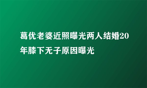 葛优老婆近照曝光两人结婚20年膝下无子原因曝光