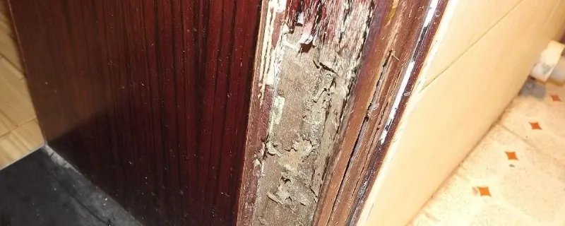 家庭灭白蚁方法有哪些