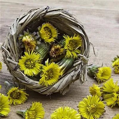 气胸吃什么比较好