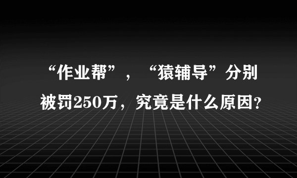 “作业帮”，“猿辅导”分别被罚250万，究竟是什么原因？