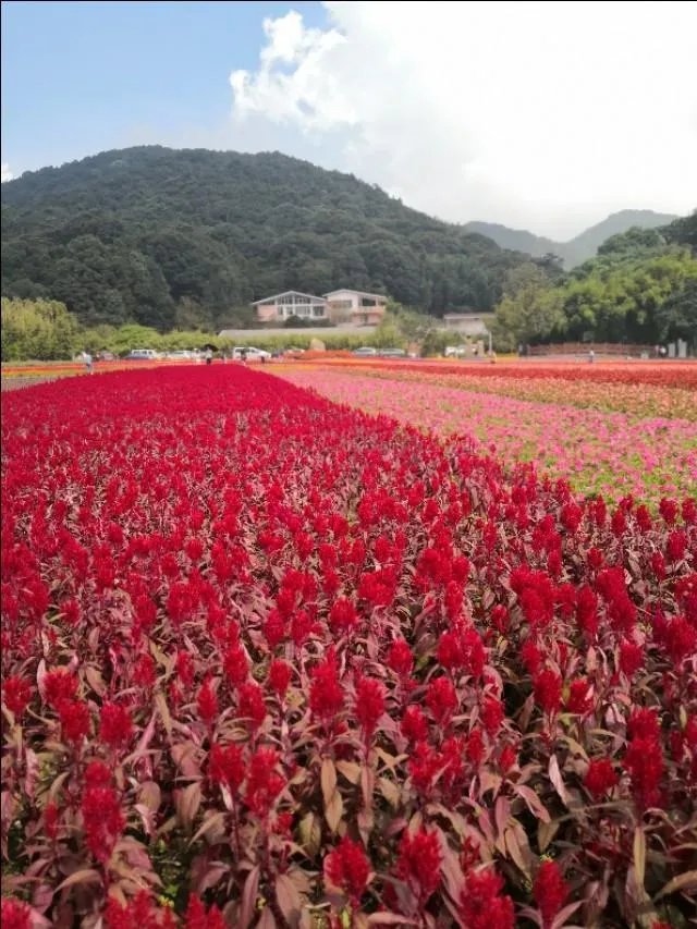 五一从化一日游去哪合适？