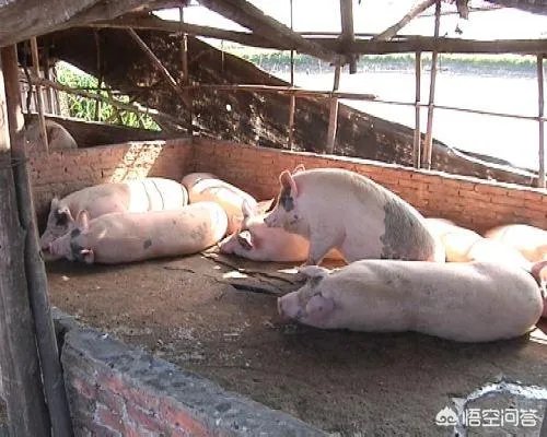 2018年农业的商机有哪些？