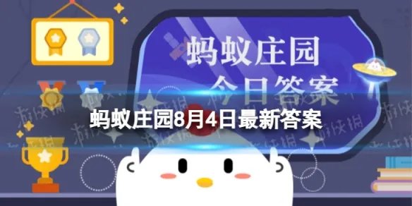 猜一猜：企鹅在向另一半表白的时候，会送什么作为定情信物 蚂蚁庄园8月4日答案最新