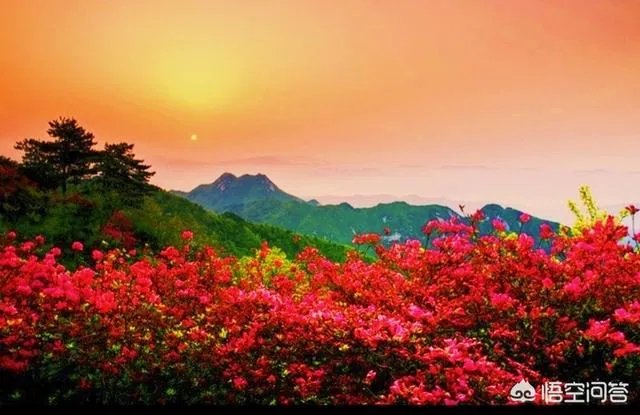 麻城发展论坛是干什么的？