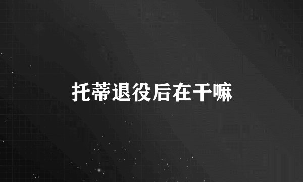 托蒂退役后在干嘛