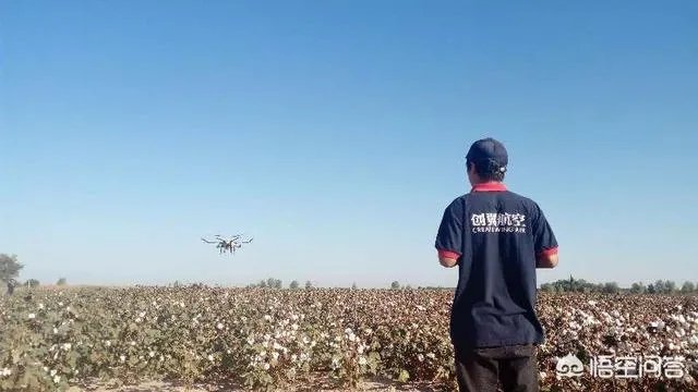 2018年农业的商机有哪些？