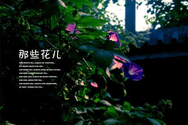 经典校园民谣100首 值得推荐的100首经典校园歌曲