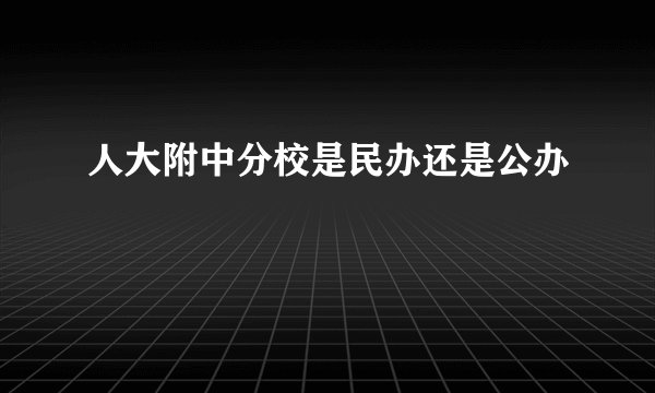 人大附中分校是民办还是公办