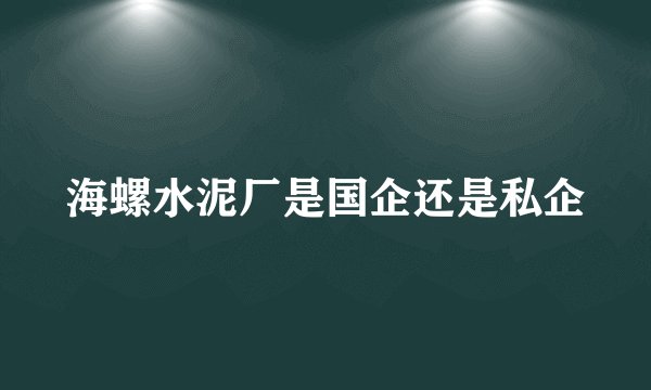 海螺水泥厂是国企还是私企