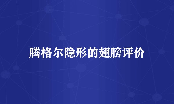 腾格尔隐形的翅膀评价