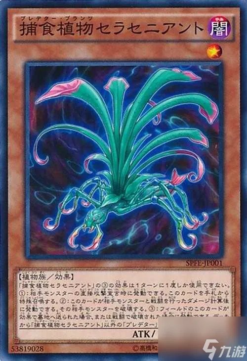 游戏王孤火花搭配什么卡组 捕捉食物卡组搭配玩法攻略 已采纳