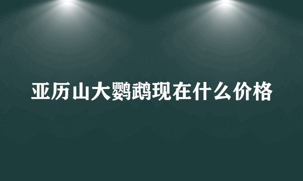 亚历山大鹦鹉现在什么价格