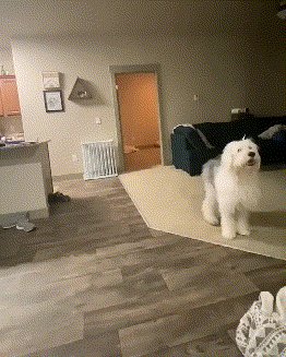 周四福利囧图云飞系列 妹子负担太重跳起绳挺累的