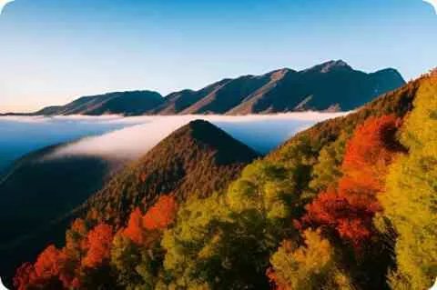 历届奥运会中国金牌数