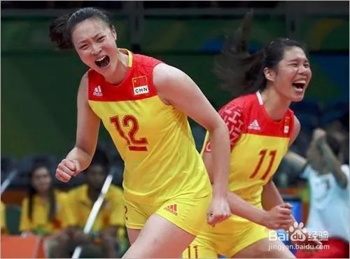 哪里可以看女排直播